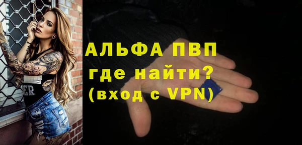 соль ск Пересвет